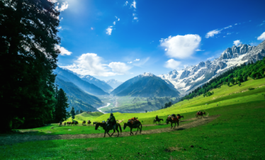 Kashmir Paradise – Discover the Beauty of Heaven on Earth (4 Days / 3 Nights)